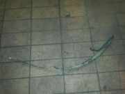 Leitung Servolenkung SEAT IBIZA V (6J1) 1.4 63 KW