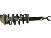 Federbein links vorn VW PASSAT VARIANT (3B6) 1.9 TDI HIGLINE 96 KW 20V00814