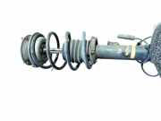 Federbein links vorn BMW 3 TOURING (E91) 318D 105 KW 31316786013