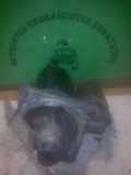 Anlasser Starter FIAT PUNTO (188) 1.8 130 HGT 96 KW