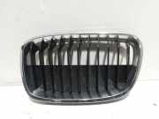Ziergitter Ziergitter Niere LINKS BMW 1 (F20) 116D 85 KW 51137324389