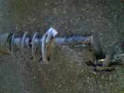 Feder links vorn ALFA ROMEO 145 (930) 1.6 I.E. 16V T.S. 88 KW