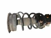 Federbein links vorn RENAULT SCÉNIC II (JM0/1_) 1.9 DCI 88 KW