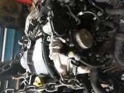Motor ohne Anbauteile RENAULT KANGOO BE BOP (KW0/1) 1.5 DCI 66 KW AUDI1