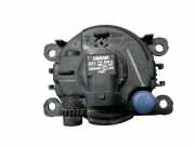Nebelscheinwerfer links RENAULT SCÉNIC III (JZ0/1_) 1.5 DCI 81 KW 820074008
