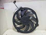 Elektromotor, Kühlerlüfter PEUGEOT 206 CC (2D) 1.6 16V 80 KW 1253C9