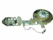 Federbein rechts vorn CHEVROLET AVEO SCHRÄGHECK (T250, T255) 1.2 55 KW