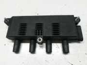 Zündspule FIAT PUNTO (199_) 1.2 48 KW 55200112
