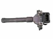 Zündspule 8 Zylinder AUDI A8 (4D2, 4D8) 3.7 169 KW 058904105