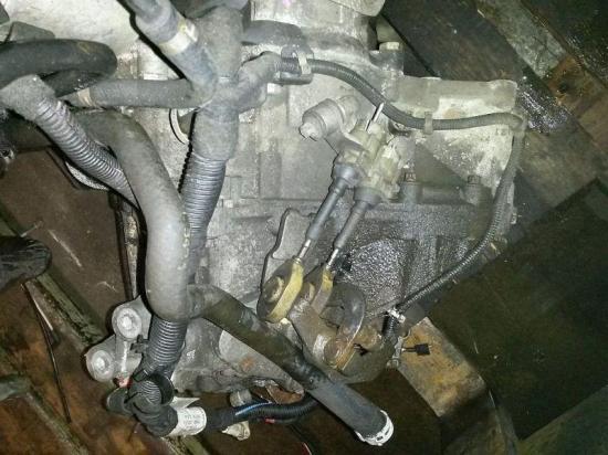 Getriebe (Schaltung) 5 Gang OPEL ZAFIRA A (F75_) 2.0 DTI 16V 74 KW 9200981 Bild Getriebe (Schaltung) 5 Gang OPEL ZAFIRA A (F75_) 2.0 DTI 16V 74 KW 9200981