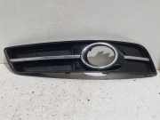 Blende Stoßstange rechts vorne AUDI A3 (8P1) 1.2 TSI SPORTBACK 77 KW 8P0807682J