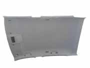 Himmel Dachverkleidung SKODA FABIA (NJ3) 1.0 44 KW 6V6867501AH
