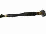 Stoßdämpfer rechts hinten VW POLO (6R_) 1.6 TDI COMFORT 66 KW