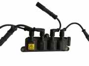 Zündspule FIAT PUNTO / GRANDE PUNTO (199) 1.2 51 KW 1041 300 005 0200