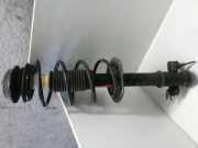 Federbein rechts vorn Gasdruck Federbein FIAT PUNTO (188_) 1.2 60 44 KW JGM271T