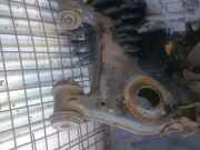 Querlenker rechts vorne MERCEDES E-KLASSE W210 E 200 ELEGANCE 100 KW