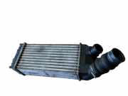 Ladeluftkühler CITROEN XSARA PICASSO (N68) 1.6 HDI 80 KW 9645965180