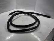 VW T4 70/7D Bj.2003 Türdichtung Vorne Rechts ab 01.96