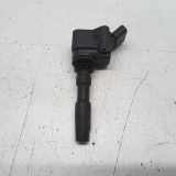 Seat Ibiza 6F Bj.2018 Zündspule ab 6/17 04E905110M