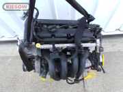 Ford Focus DNW/DFW;Motor;Engine;ab 08/98-;FXDD