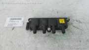 Fiat Punto Evo 199;Zündspule;ab 09/09-;0040100074