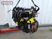Ford Focus Typ DFW/DNW;Motor;Engine;ab 08/98-;FXDD