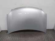 VW POLO (9N1/9N2) Motorhaube LA7W Reflexsilber lackiert ab 01/04