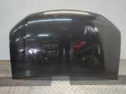 Dacia Sandero 2 SD Stepway Motorhaube ab 11/12 