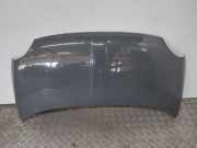 Fiat 500 Cabrio Bj.2011 Motorhaube Grau Lackiert 