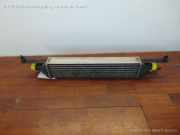 Fiat Grande Punto 199;Ladeluftkühler;ab 09/05-;866450100