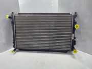 SKODA YETI 5L Bj.2013 Motorkühler Wasserkühler 1K0121253BB