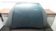 Ford Focus DBW/DAW Motorhaube ab 08/98-