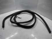 VW T4 70/7D Bj.2003 Türdichtung Vorne Links ab 01.96