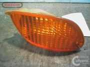 Ford Focus DFW/DNW Blinker links ab 08/98 