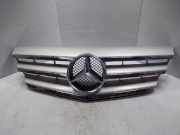 Mercedes-Benz B-Klasse W245 Bj.2009 Kühlergrill ab 06.08