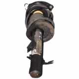 Federbein mit Stossdämpfer Mini (bmw) Mini One Cabrio