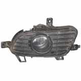 Nebelscheinwerfer komplett A2518200756 Mercedes-benz A 150 Autotronic Classic