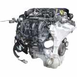 Motor ohne Anbauteile Ford Fiesta 1.0 Start-stop Sync Edition