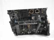 Motorblock Kurbeltrieb für VW Passat B8 2,0 TSI DDSA DDS DKZ CZP 06K103023J