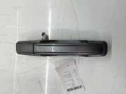 T?rgriff hinten rechts grau f?r Ssangyong Rexton EX 2,0 Xdi 4x4 D20DTR OM671.960