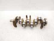 Kurbelwelle Für Seat Skoda VW Ibiza Fabia Polo V 1,4 TSI CGGB CGB 036AL