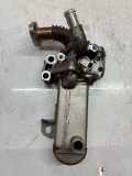 Abgaskühler Für Nissan NT400 CABSTAR 2,5 DCI YD25DDTI 147355X00B