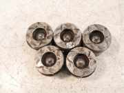 5x Kolben für Volvo V60 V70 XC60 XC70 2,4 D4 AWD D5244T17 D52 81L123