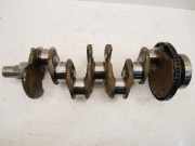 Kurbelwelle für Fiat Bravo Doblo 1,6 JTD D Multijet 198A3000 55202818