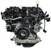 Motor für VW Amarok 3,0 TDI 4motion DDXB DDX 059100041A 059100041AX 31.000km