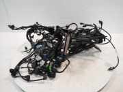 Kabelbaum NEU f?r Land Rover Range X7 4,4 V8 N63 N63B44E 8645647 8645649