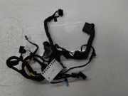 Türverkabelung für Land Rover Discovery Sport L550 204DTA AJ20D4 HK72-14632-BKE