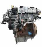 Motor für Ford Ecosport 1,0 Ecoboost M1JC C1BG-6006-DA 32.000km