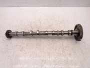 Nockenwelle für Ssangyong Korando CK 2,2 Xdi OM672.950 D22DTF KGK0087
