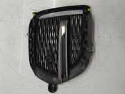Kühlergrill für Jaguar E-Pace X540 2,0 D200 Mild Hybrid AWD 204DTY M9C3-15A299-A